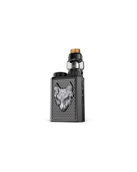 Mini 100W Kit